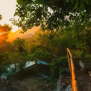 Cuca Farm stay